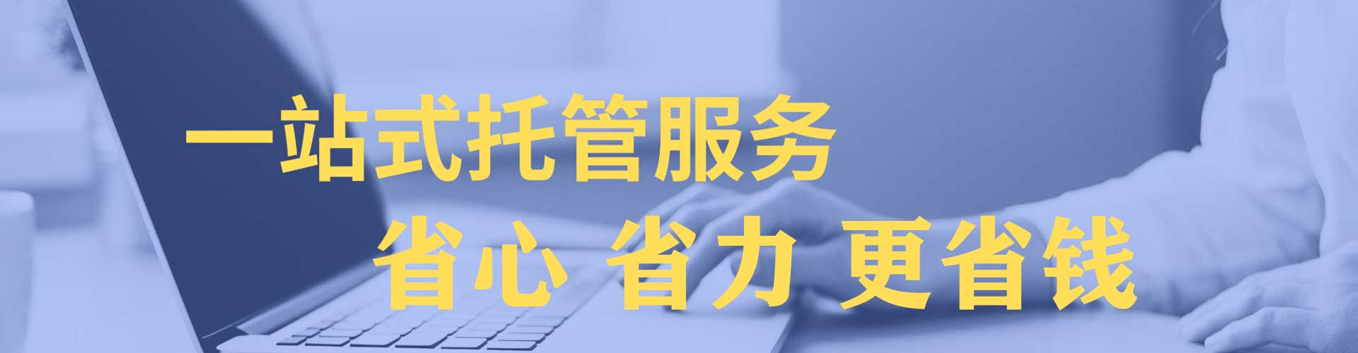 大园sem推广